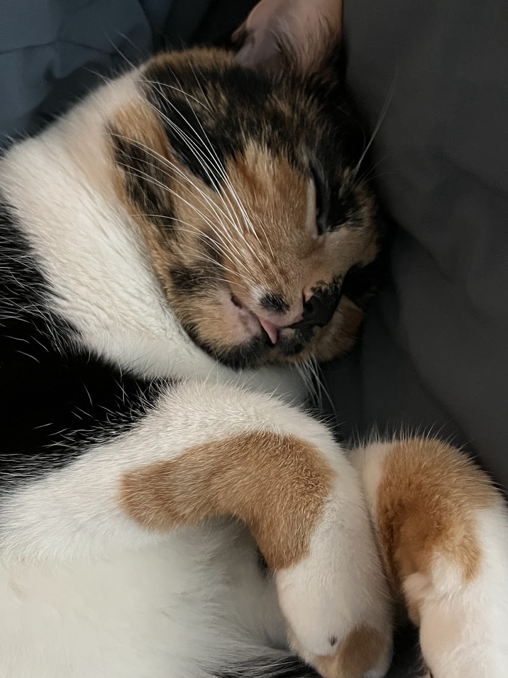 Kiki